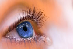 blue eye close-up